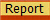 Report